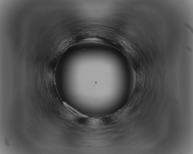 X0000093370333200710111441