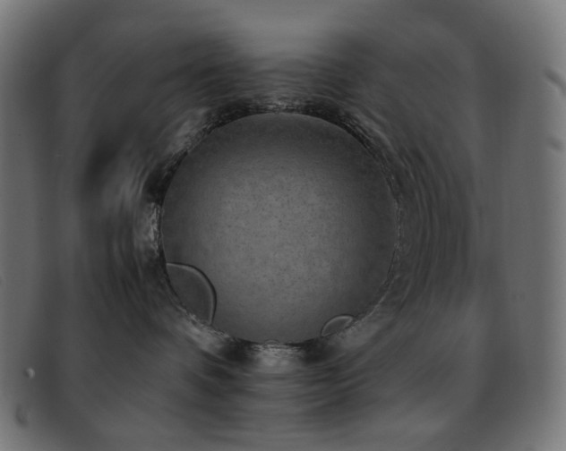 X0000093370336200710111441