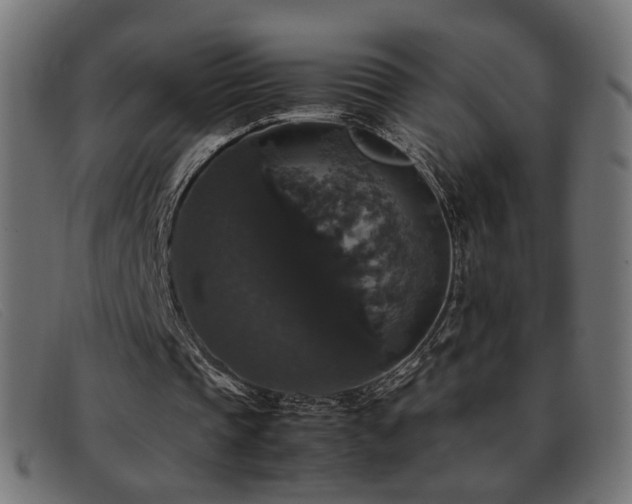 X0000093370337200710111440