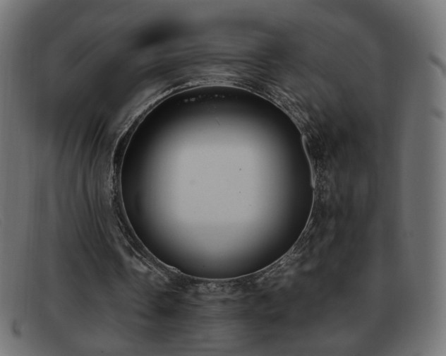 X0000093370338200710111440