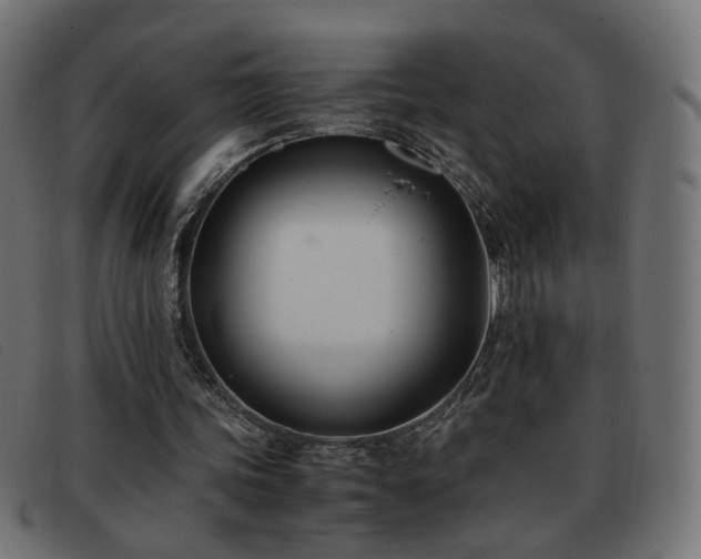 X0000093370339200710111440