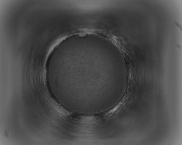 X0000093370342200710111440