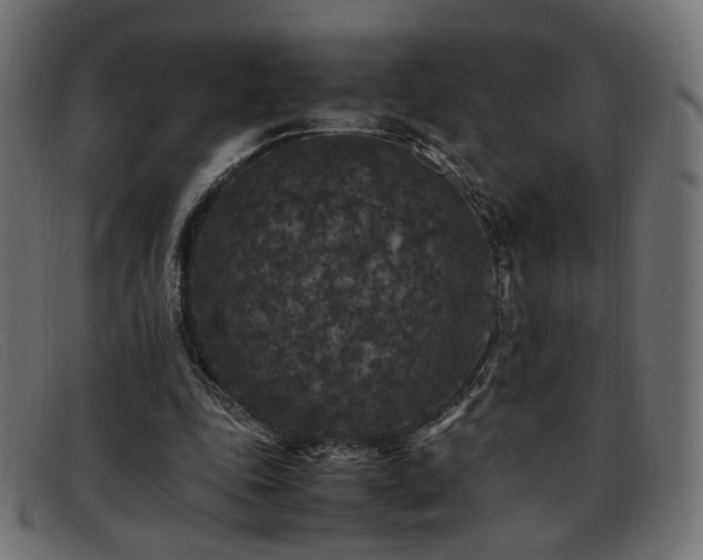 X0000093370343200710111440