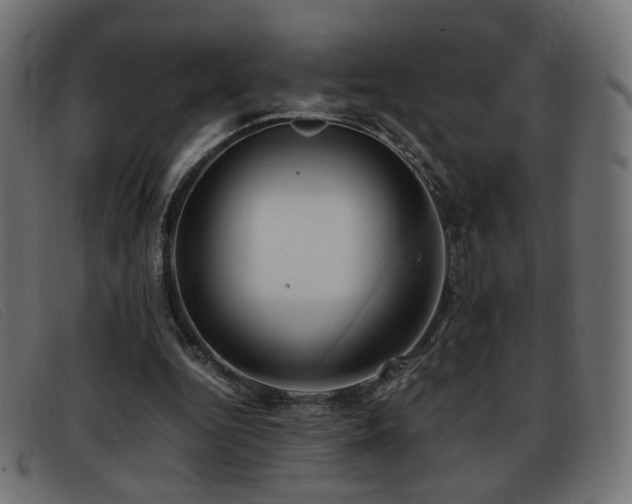 X0000093370344200710111440