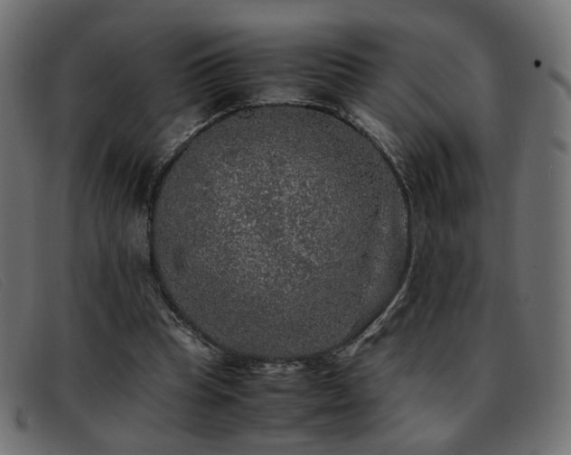 X0000093370345200710111440
