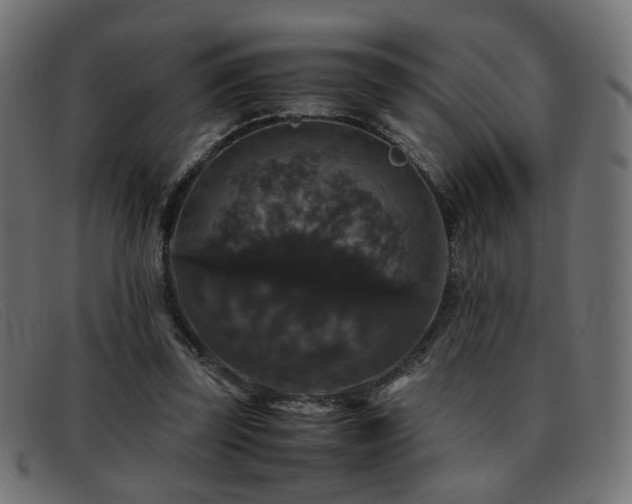 X0000093370347200710111440