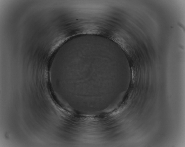 X0000093370348200710111440