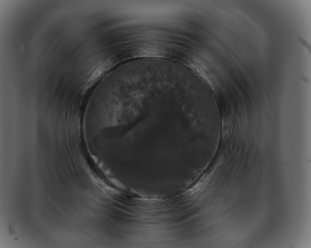 X0000093370349200710111440