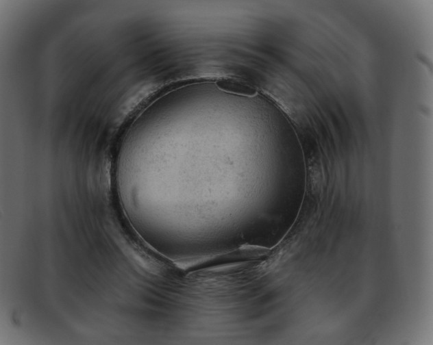X0000093370350200710111440
