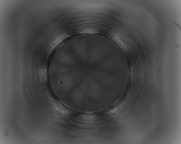 X0000093370351200710111440