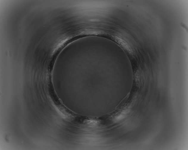 X0000093370352200710111440
