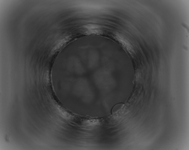 X0000093370353200710111440