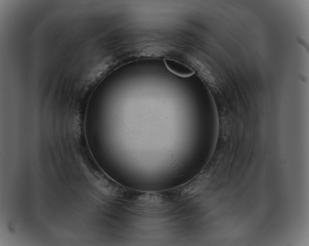 X0000093370354200710111440