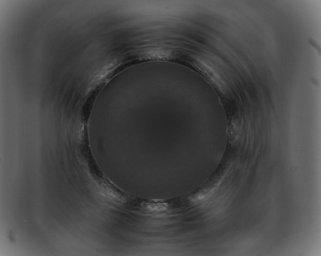 X0000093370355200710111440