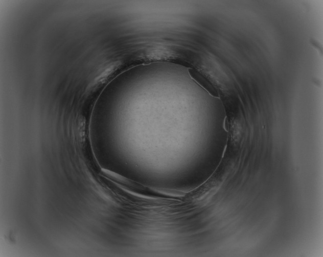 X0000093370356200710111440