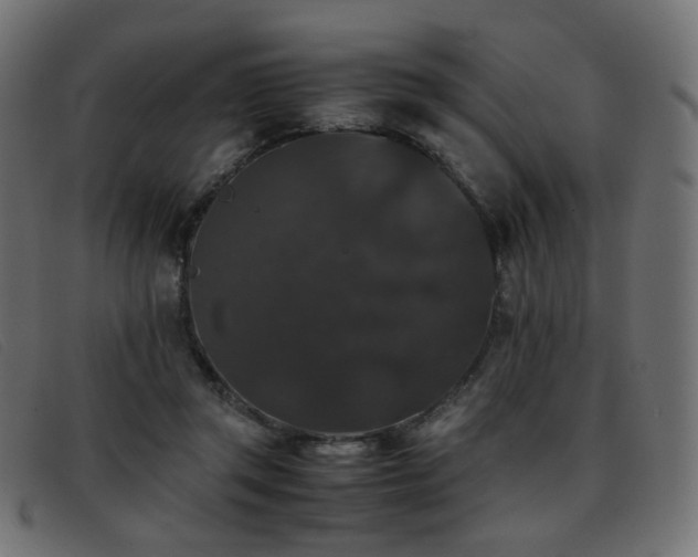 X0000093370357200710111440