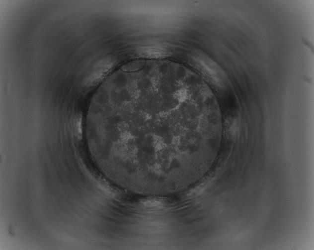 X0000093370358200710111440