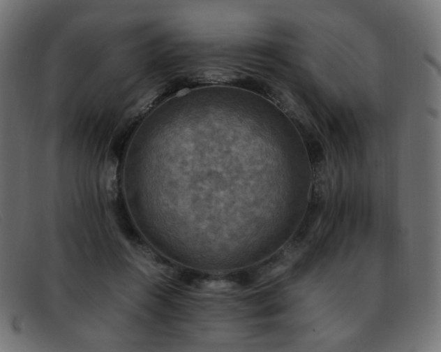 X0000093370360200710111441