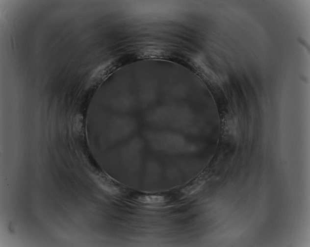 X0000093370361200710111441