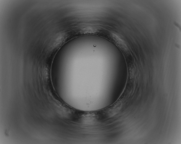 X0000093370362200710111441