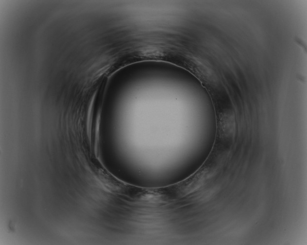 X0000093370364200710111441