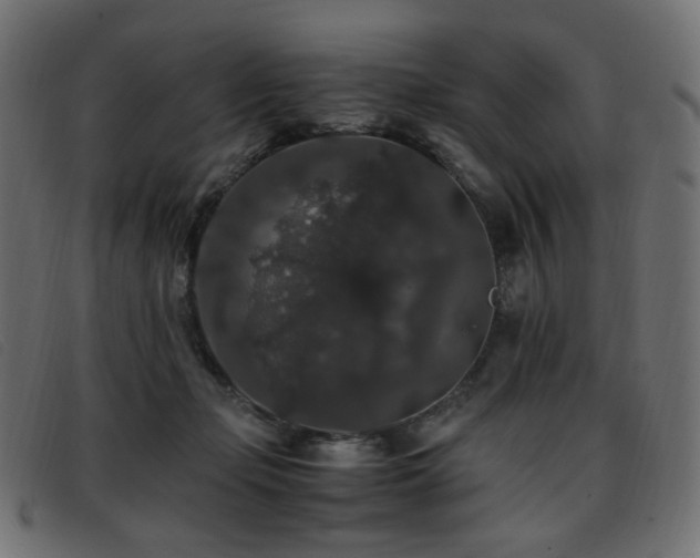X0000093370365200710111441