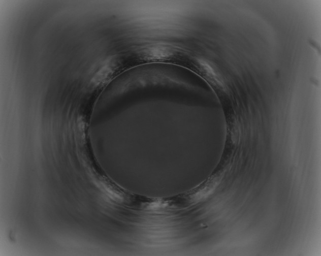 X0000093370366200710111441