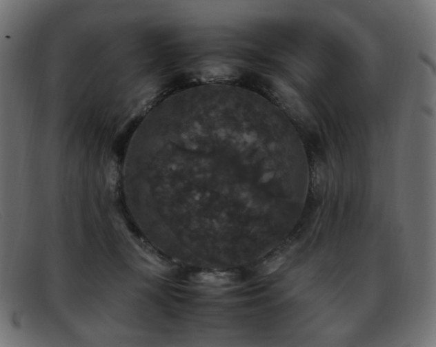 X0000093370367200710111441