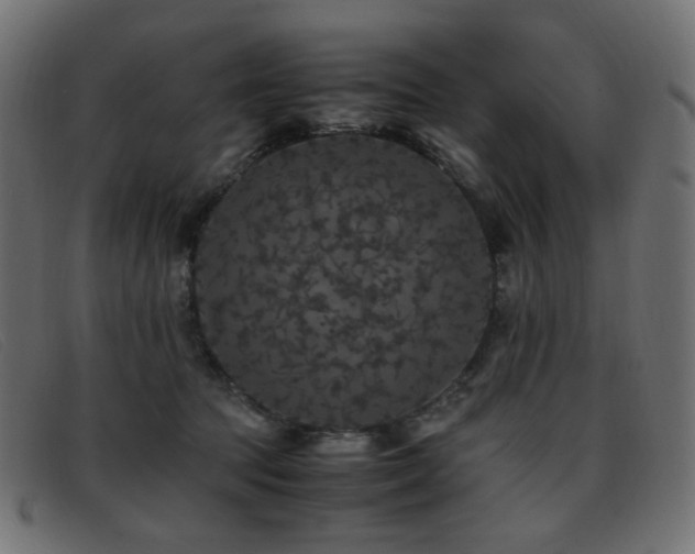 X0000093370369200710111441