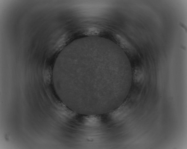 X0000093370370200710111441