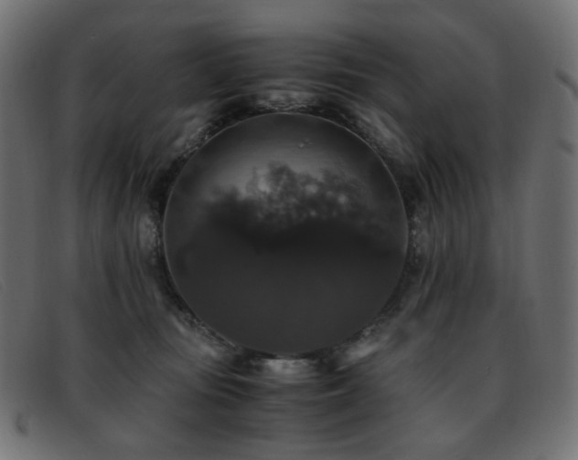 X0000093370371200710111441