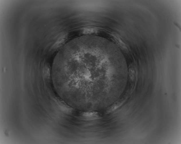 X0000093370375200710111441