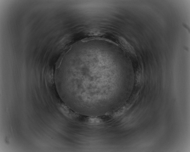 X0000093370376200710111441