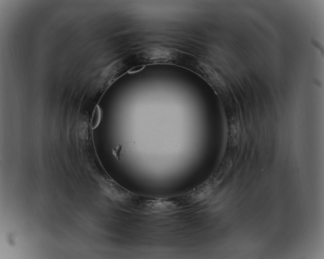 X0000093370379200710111441