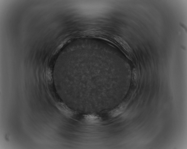 X0000093370380200710111441