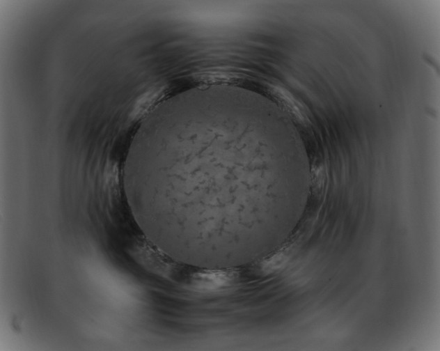 X0000093370381200710111441