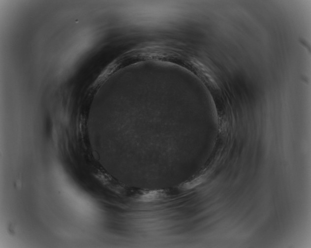 X0000093370382200710111441