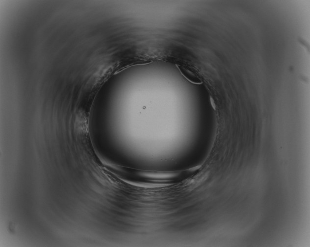 X0000093370384200710111441