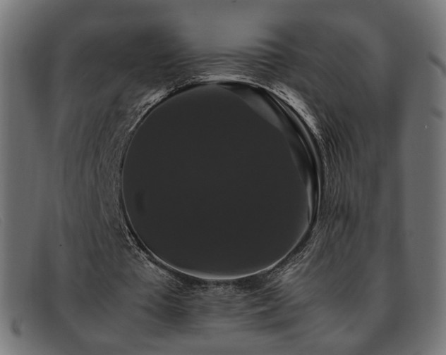 X0000093370385200710111440