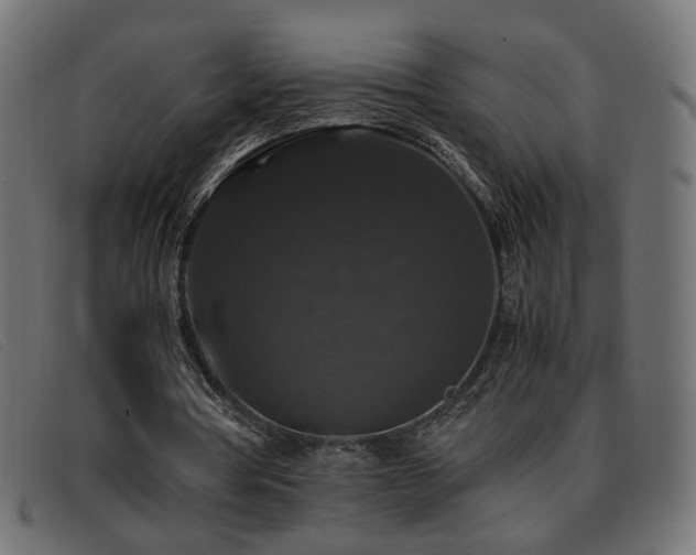 X0000093370386200710111440