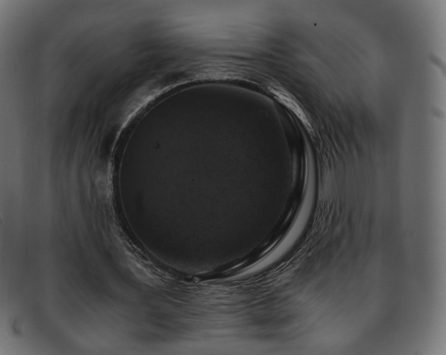 X0000093370387200710111440