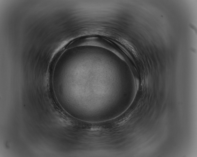 X0000093370388200710111440