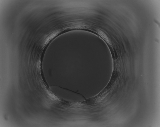 X0000093370389200710111440