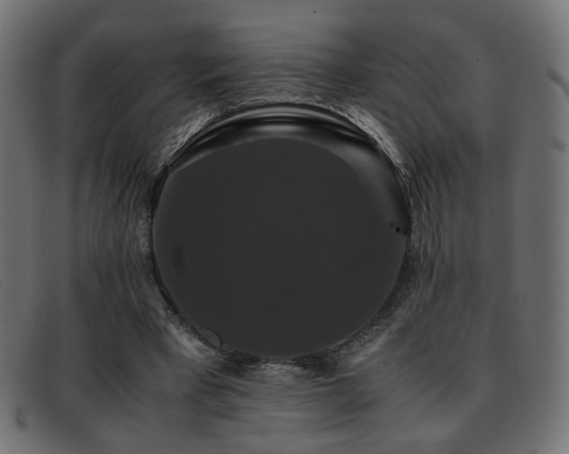 X0000093370393200710111440