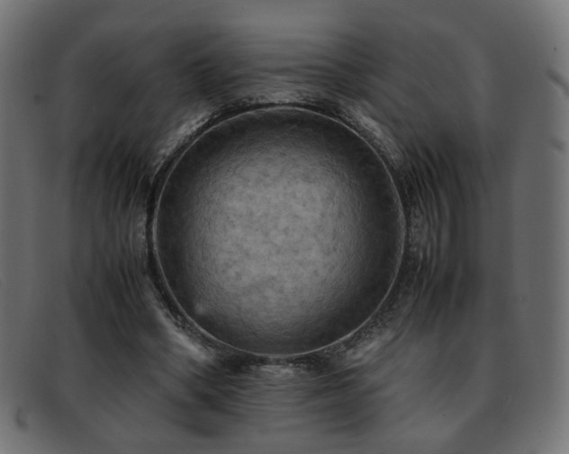 X0000093370394200710111440