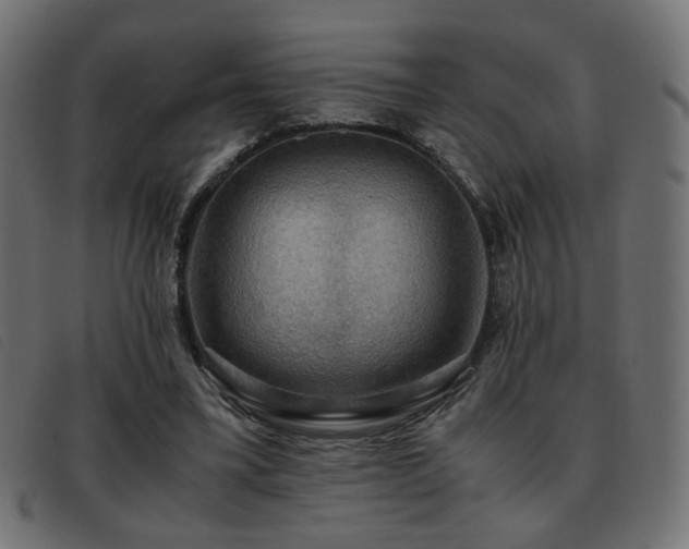 X0000093370395200710111440