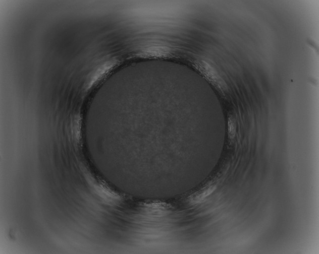 X0000093370396200710111440