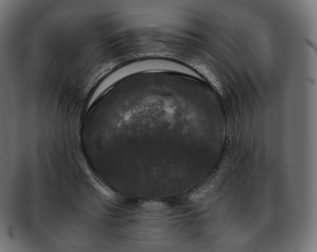 X0000093370397200710111440