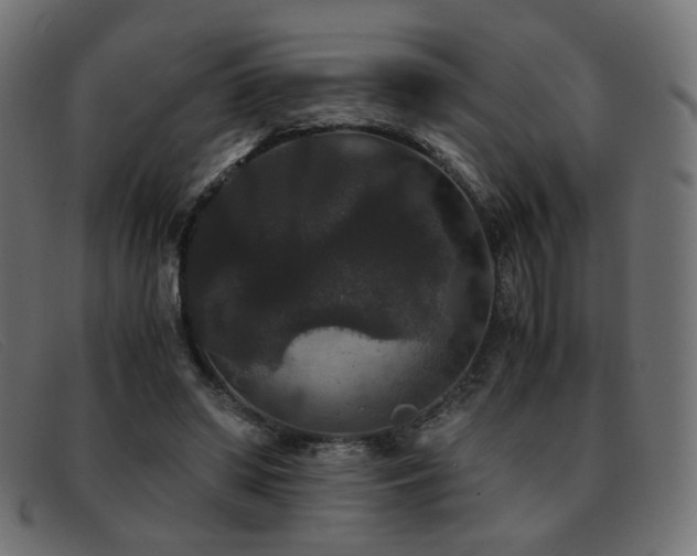X0000093370398200710111440