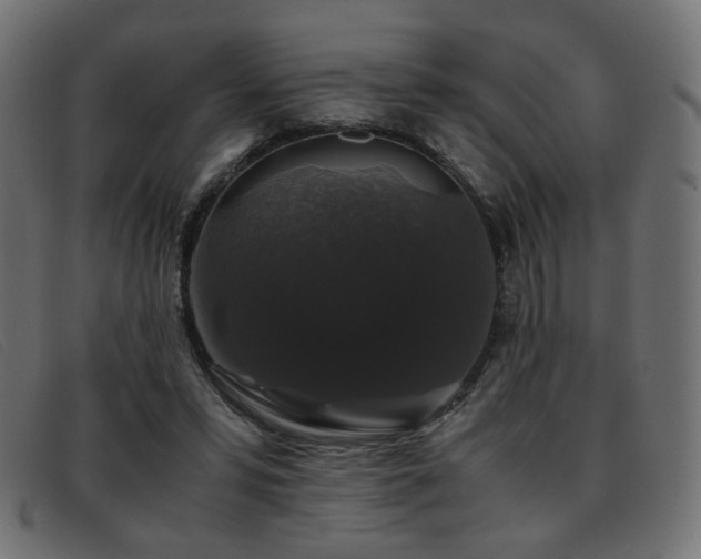 X0000093370399200710111440